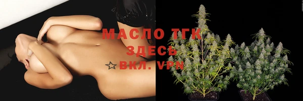 молекула духа Магадан