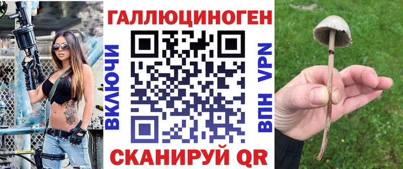Псилоцибиновые грибы мицелий  Калининград 