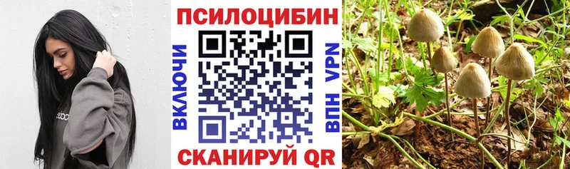 Псилоцибиновые грибы прущие грибы  Калининград 