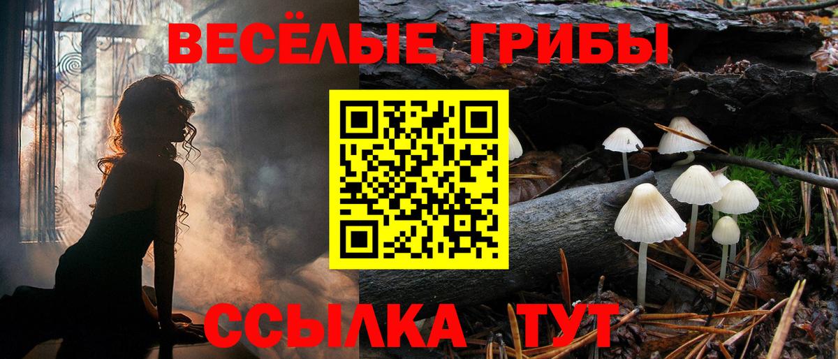 Галлюциногенные грибы мухоморы  Калининград 